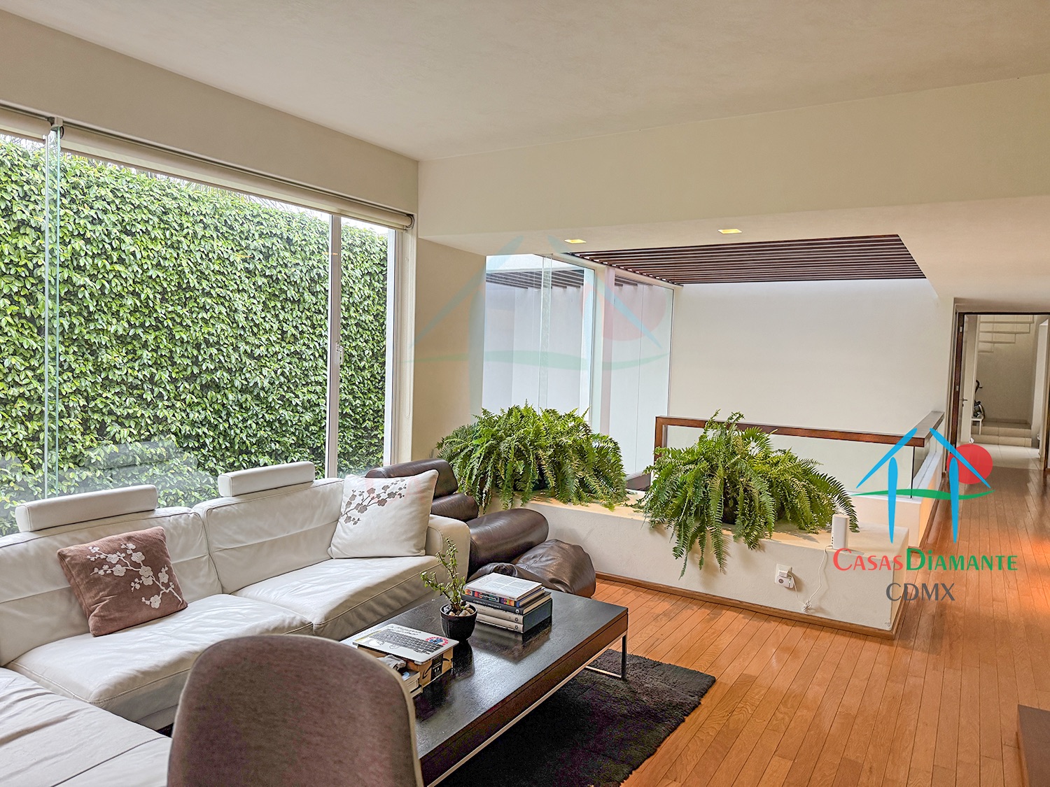 Jardines del Pedregal Casa Rivera EJ - Sala de televisión 5